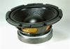 Speaker -- OC8W-4C