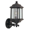 Exterior -Wall Mount - 224253 - Light Center (The)