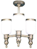 6313-AN Semi-Flush Mts.-Other - 719185 - Capital Lighting, Inc.