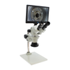 Microscope, Stereo Zoom (Trinocular) -- 243-26800B-373-3-ND - Image