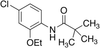 N-(4-Chloro-6-ethoxyphenyl)-2,2-dimethylpropanamide - 8312 - Medical Isotopes, Inc.