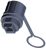 Adapter, Rj45 8Pos Jack-Jack, Cat5E; In Line Connector A Te Connectivity - 13T8035 - Newark, An Avnet Company