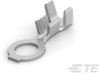 Ring Terminals - 626235-2 - TE Connectivity