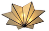 Ceiling Star - CM1 - Steven Handelman Studios