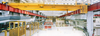 Process Cranes for Process Integration - Image