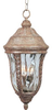 Exterior -Hanging - 81665 - Light Center (The)