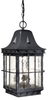 Exterior -Hanging - 9520 - Light Center (The)