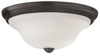 Close to Ceiling Lighting Fixture - FM362ORB - Generation Brands