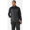 Bodywarmers -- 2549914 - Image