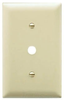 Standard Wall Plate -- TP12 - Image
