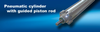 Pneumatic Cylinders With Guided Piston Rod - Image