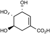 Shikimic Acid - 13471 - Medical Isotopes, Inc.