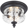 9909-1-66 Exterior -Ceiling Mount - 334208 - Capital Lighting, Inc.