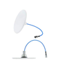RF Antennas - CFSA69383P1-30NF - Quarktwin Technology Ltd.