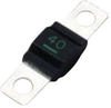 Automotive Fuse, Time Delay, 50A, 32Vdc Rohs Compliant Littelfuse - 81AH9427 - Newark, An Avnet Company