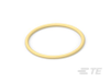 Gaskets & O-Rings -- 2665014 - Image