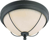 Flush Mounts-Bowl Style - 86021 - Light Center (The)