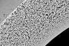 Haemodialysis Capillary Membrane - PUREMA® H - 3M Separation and Purification Sciences Division