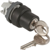 Key Switch Heads -- 7578869 - Image