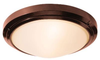 20356-BRZ/FST Exterior -Ceiling Mount - 691762 - Capital Lighting, Inc.