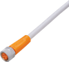 Connecting cable with socket - EVW070 - ifm electronic gmbh