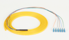 3m LC OS2 9-Micron SM Fiber Pigtail 6-Strand OFNR PVC Yellow - FOPT50S1-LC-6YL-3 - Black Box
