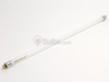 8 Watt, 13 1/8 Inch T4 Cool White Fluorescent Bulb - B585108 - bulbs.com