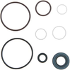Hydraulic Pump Rebuild Kit / Seal Kit - Image