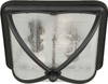 1823-02-04 Exterior -Ceiling Mount - 403064 - Capital Lighting, Inc.