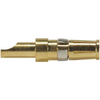 Connectors, Interconnects-D-Sub, D-Shaped Connectors-D-Sub, D-Shaped Connector Contacts - 09691815421 - Win Source Electronics