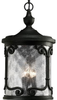 Exterior -Hanging - 92111 - Light Center (The)