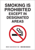 Brady B-302 Polyester Rectangle White Smoking Not Permitted Sign - 10 in Width x 14 in Height - Laminated - TEXT: SMOKING IS PROHIBITED EXCEPT IN DESIGNATED AREAS - 123902 - 754473-79609 - R. S. Hughes Company, Inc.
