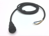 QD Cable/Cord Set - Radwell International