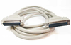 10ft DB50 M/M Straight Thru Cable -- DF10-10 - Image