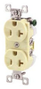 Duplex/Single Receptacle -- CBRS20GRY - Image