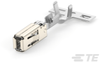 Automotive Terminals - 1-968855-1 - TE Connectivity