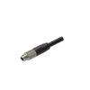 SPE single ended cordset: M8 male - RSMGVS-8M-999 - Belden Inc.