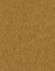 Zamboni Fabric -- 9910/04 - Image