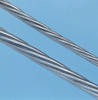 Rope -- 193067 - Image