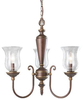 88013 Mid. Chandeliers-Glass Up - 366317 - Capital Lighting, Inc.