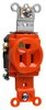 Duplex/Single Receptacle - IG5261 - Legrand - Pass & Seymour