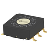DIP Switches - 450-MRSSV1DC16SMGWTRCT-ND - DigiKey