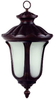 Exterior -Hanging - 313082 - Light Center (The)