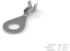Ring Terminals - 880628-1 - TE Connectivity