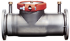 Stainless Steel Detector Check Valve -- 1000SS - Image