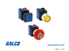 IDEC Pushbutton Illuminated - ALW29902D-R-12V - Galco Industrial Electronics