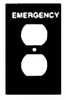 Standard Wall Plate -- 42101