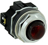 Pilot Light - Radwell International