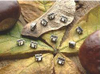 Feed Through Capacitors -- SBSGP0500224MXB - Image
