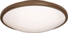 Flush Mounts-Bowl Style - 15469 - Light Center (The)